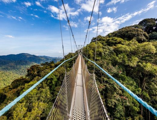 9 Days Rwanda Primate & Wildlife Safari Experience 2026