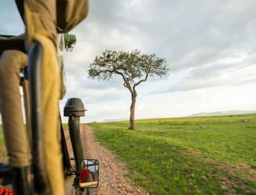 15 Days, 14 nights Disability Friendly Safari In Magical Kenya