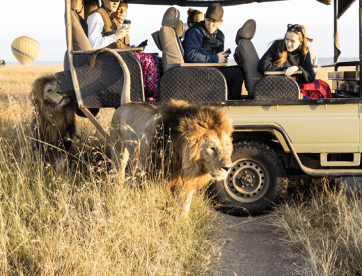 Majestic Maasai Mara Getaway