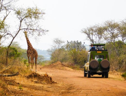 10 Days Rwanda Adventure Safari Experience