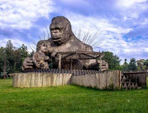 10 Days Rwanda Adventure Safari Experience