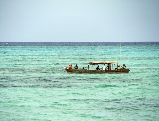 5 Days / 4 Nights Pemba Island Primate & Marine Safari