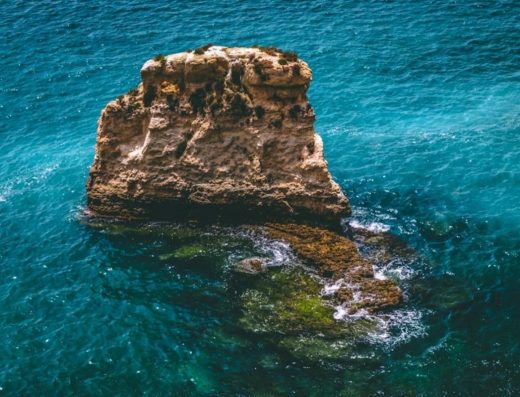 Zanzibar Excursion & Adventure