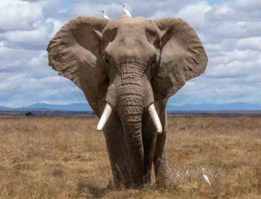 3-Day Northern Tanzania Safari: Zanzibar to the Great Rift Valley