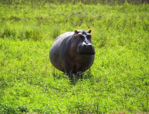 Zanzibar Excursion & Adventure
