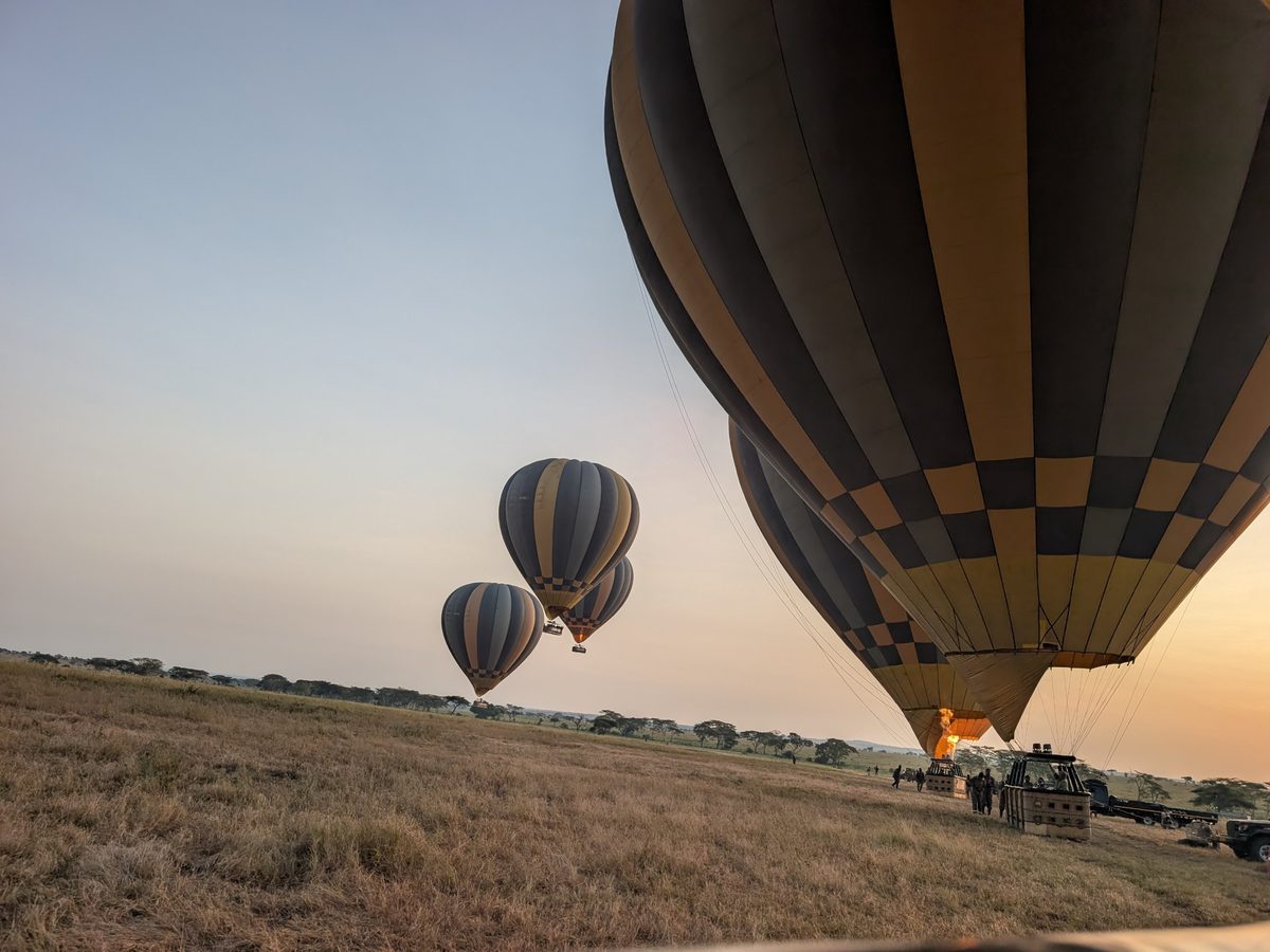 Hot air balloons launching at sunrise over the Serengeti