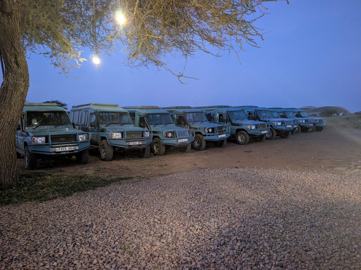 Miracle Experience vehicles lined up before dawn