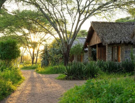 Ndutu Safari Lodge