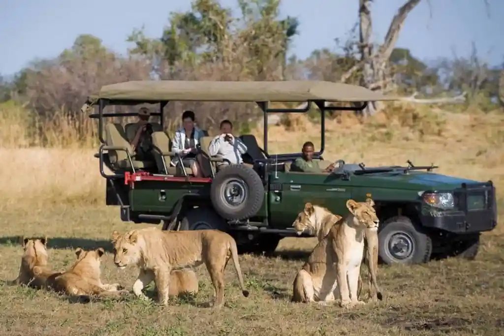 Chobe and the Okavango Delta: 7-Day Accessible Safari