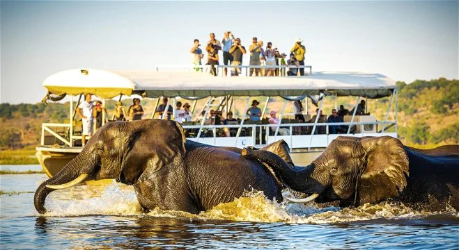 Chobe and the Okavango Delta: 7-Day Accessible Safari