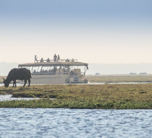 Chobe and the Okavango Delta: 7-Day Accessible Safari