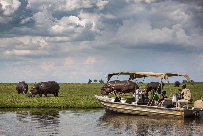 Chobe and the Okavango Delta: 7-Day Accessible Safari