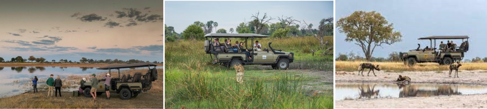 Mana Pools, Hwange and Victoria Falls: 9-Day Accessible Safari