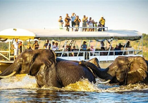 Victoria Falls Hotel and Chobe: 4-Day Accessible Break