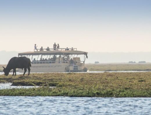 The smoke that thunders: 4-Day Accessible Safari