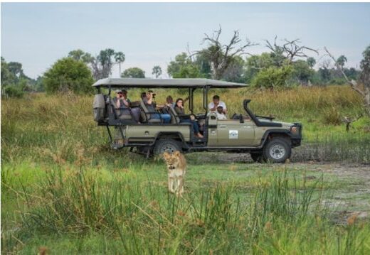 Mana Pools, Hwange and Victoria Falls: 9-Day Accessible Safari