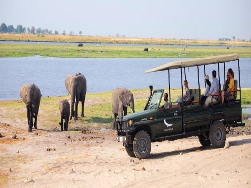 Victoria Falls, Hwange and Chobe: 7-Day Accessible Safari