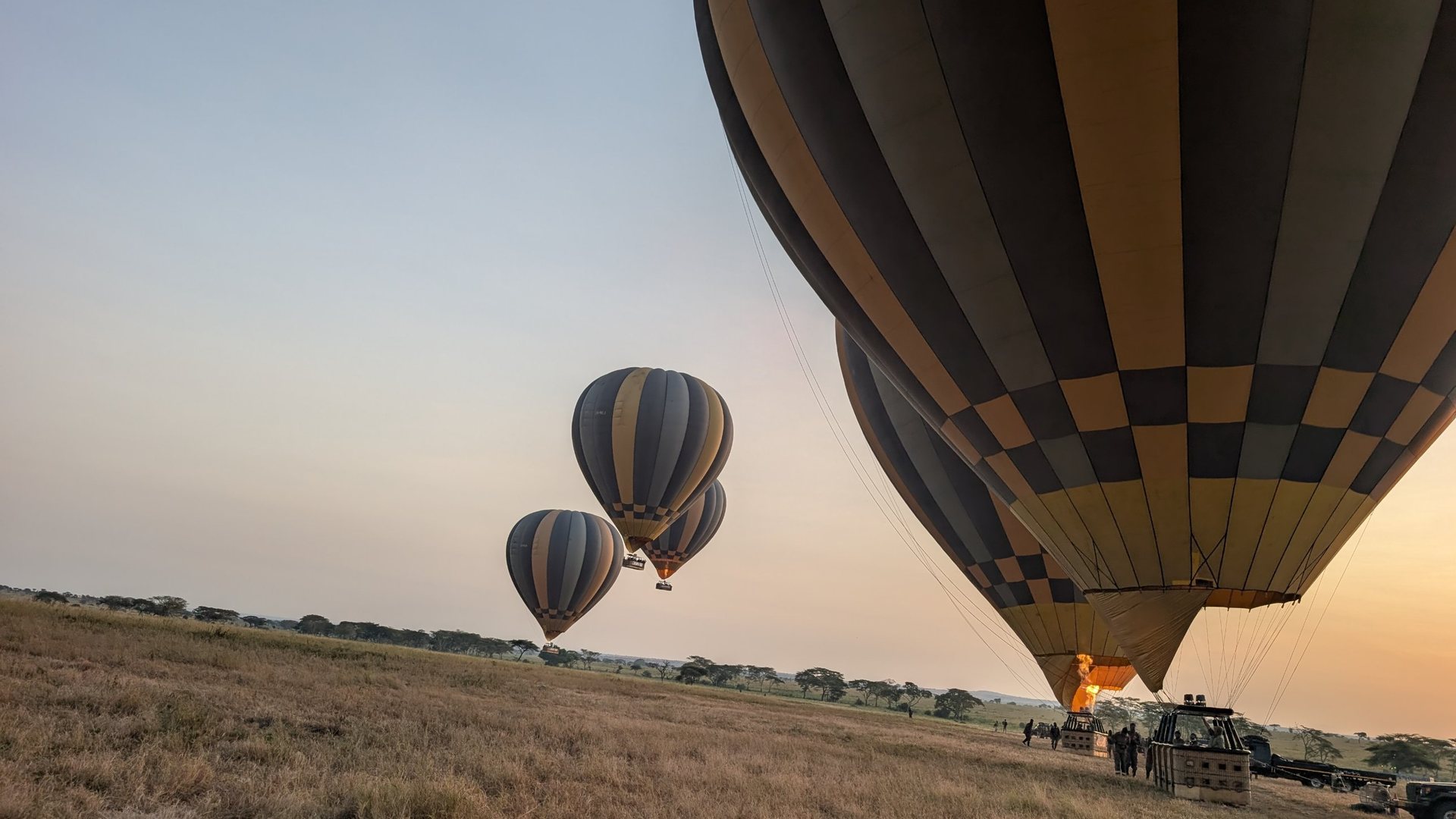 Hot air balloons over the Serengeti at sunrise during the dry season