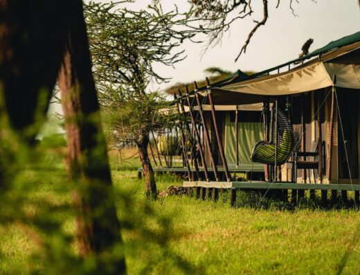 Ole Serai Luxury Camp – Turner Springs