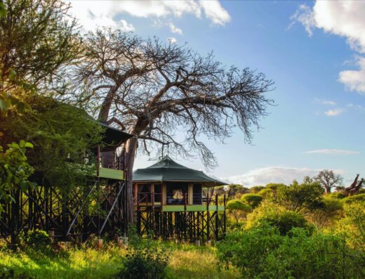Tarangire Kuro Treetops Lodge